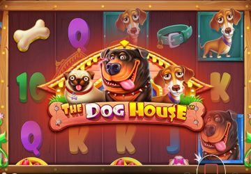 Microgaming - игровой автомат онлайн от Various с RTP 95.14%